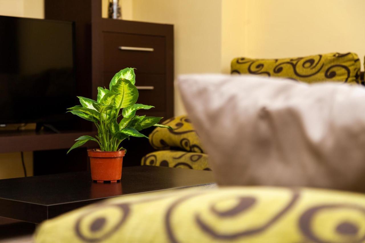 Apartamento Los Remedios Con Patio Andaluz Вехер-де-ла-Фронтера Екстер'єр фото